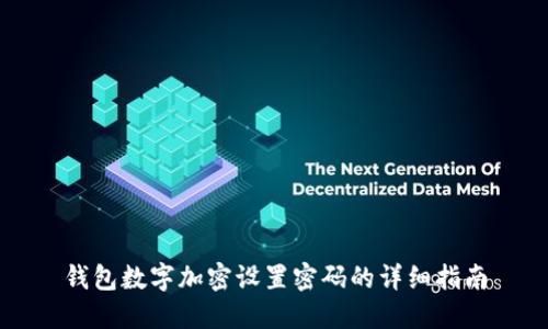 钱包数字加密设置密码的详细指南