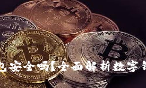 丽达数字钱包安全吗?全面解析数字钱包的安全性