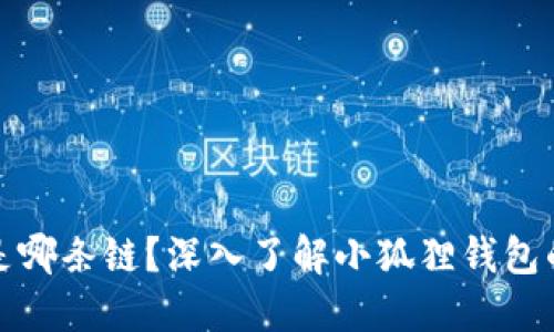 小狐狸钱包是哪条链?深入了解小狐狸钱包的功能与优势