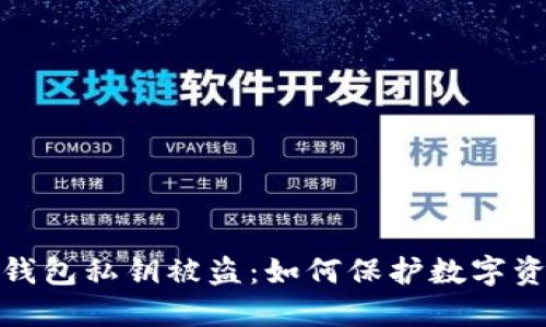 小狐狸钱包私钥被盗:如何保护数字资产安全