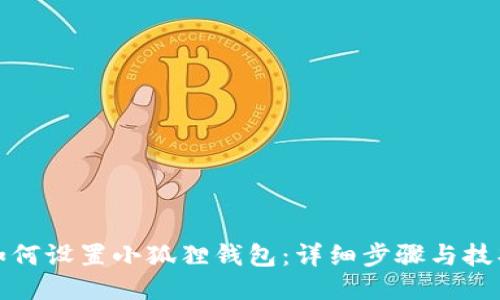 如何设置小狐狸钱包:详细步骤与技巧