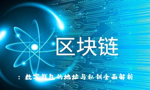 : 数字钱包的地址与私钥全面解析