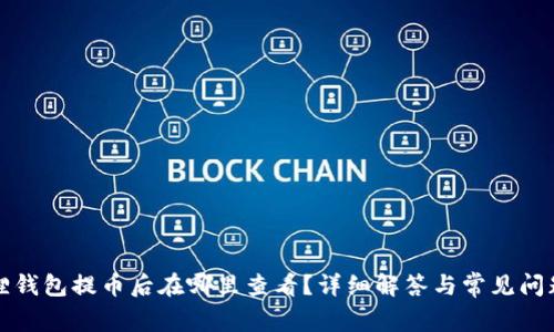 小狐狸钱包提币后在哪里查看?详细解答与常见问题解析