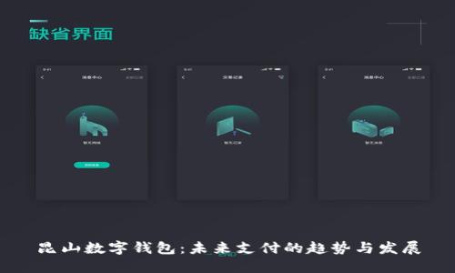 昆山数字钱包:未来支付的趋势与发展