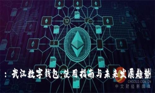 : 武汉数字钱包:使用指南与未来发展趋势