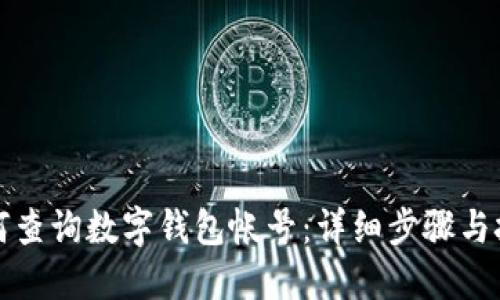 如何查询数字钱包帐号:详细步骤与技巧