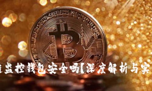 区块链监控钱包安全吗?深度解析与实用技巧