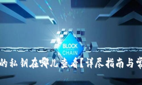小狐狸钱包的私钥在哪儿查看?详尽指南与常见问题解答
