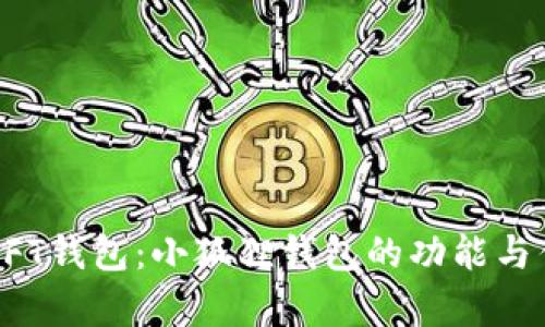 小狐狸NFT钱包:小狐狸钱包的功能与优势分析