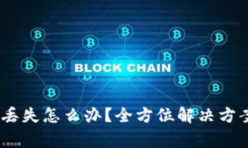 MetaMask 换币丢失怎么办?全方位解决方案与常见问题分析