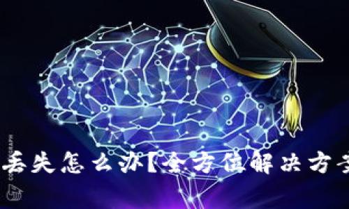MetaMask 换币丢失怎么办?全方位解决方案与常见问题分析