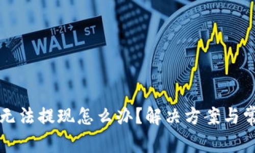 小狐狸钱包无法提现怎么办?解决方案与常见问题解析