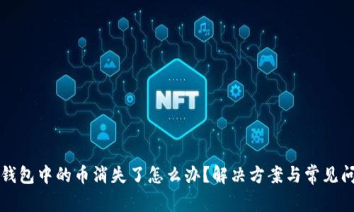 小狐狸钱包中的币消失了怎么办?解决方案与常见问题解析