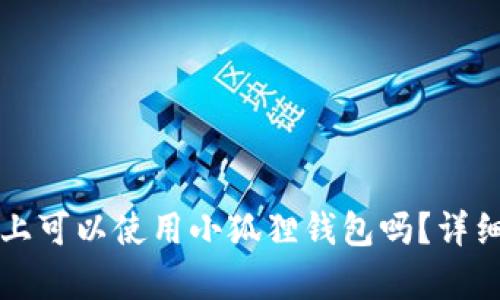 iPad上可以使用小狐狸钱包吗?详细解析