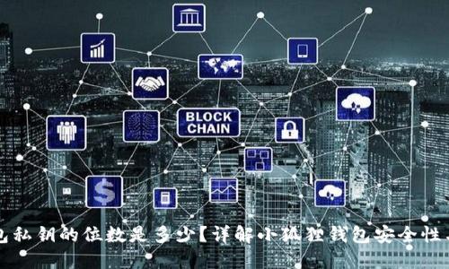 小狐狸钱包私钥的位数是多少?详解小狐狸钱包安全性与使用方法