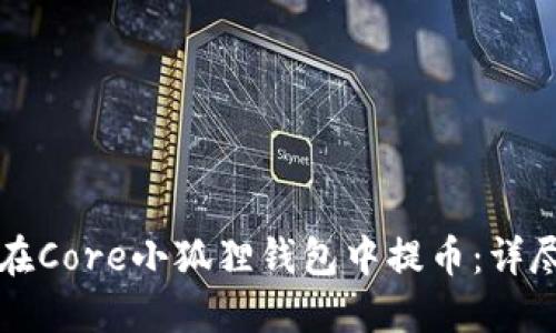 如何在Core小狐狸钱包中提币:详尽指南