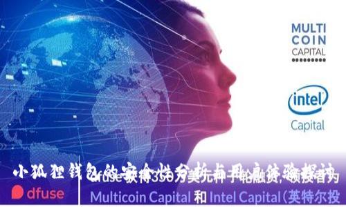 小狐狸钱包的安全性分析与用户体验探讨