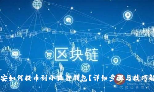 币安如何提币到小狐狸钱包？详细步骤与技巧解析