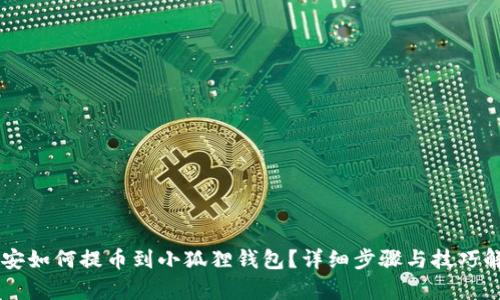 币安如何提币到小狐狸钱包？详细步骤与技巧解析