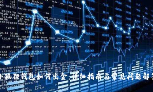 小狐狸钱包如何出金:详细指南与常见问题解答