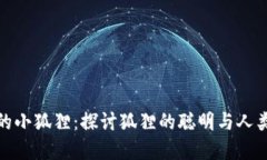 偷钱包的小狐狸：探讨狐