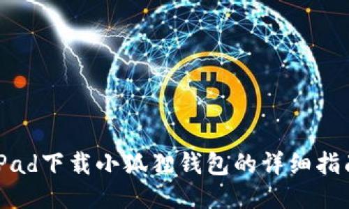 iPad下载小狐狸钱包的详细指南