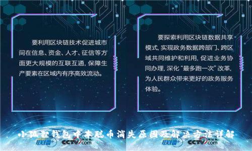 小狐狸钱包中本聪币消失原因及解决方法详解