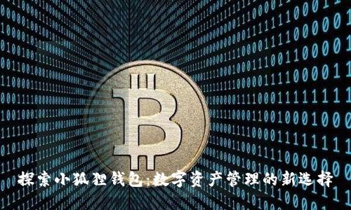 探索小狐狸钱包:数字资产管理的新选择