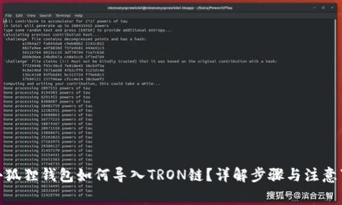 : 小狐狸钱包如何导入TRON链?详解步骤与注意事项