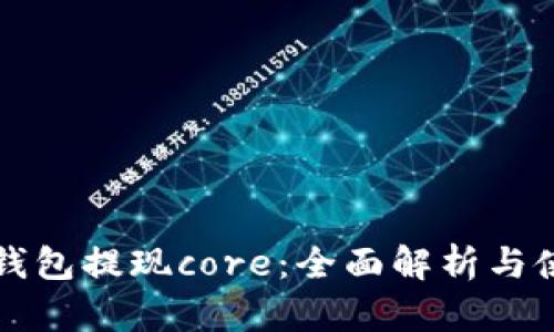 小狐狸钱包提现core:全面解析与使用指南