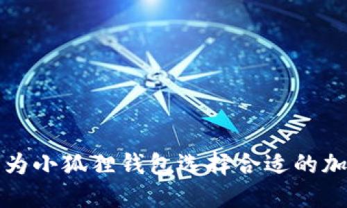 如何为小狐狸钱包选择合适的加速器