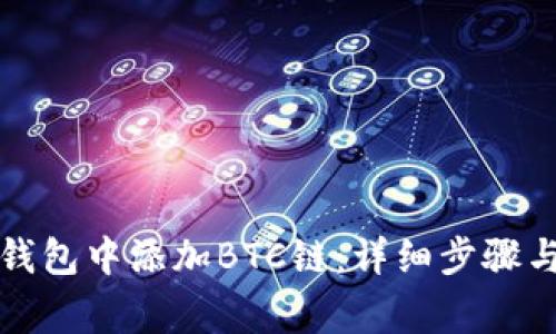 如何在小狐狸钱包中添加BTC链:详细步骤与常见问题解答