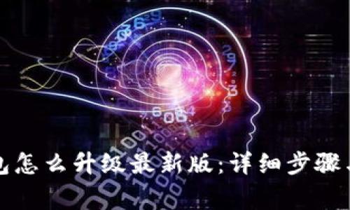 小狐狸钱包怎么升级最新版:详细步骤与注意事项