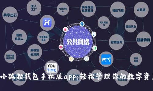 小狐狸钱包手机版app:轻松管理你的数字资产