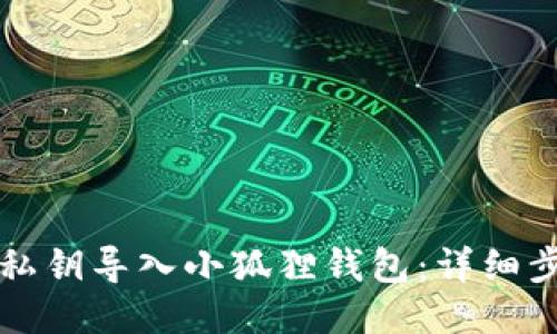 如何使用私钥导入小狐狸钱包:详细步骤与指南